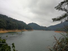 -广州市流溪河国家森林公园