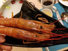 阿根廷红虾-金环海鲜自助(大坪时代天街店)