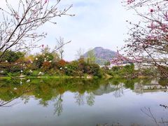 -桃花岛景观公园