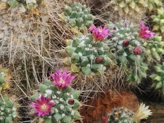 -国家植物园南园