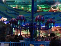 -青岛嘉年华主题乐园