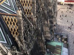 -斯蒂芬主教座堂(Stephansdom)