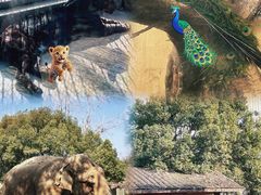 -南昌动物园