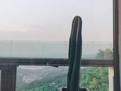 -城外有星光桥舍(南山店)