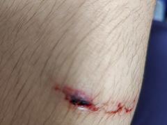 -嗨翻Hi-Fun竞技主题乐园·蹦床亲子生日轰趴(国光1937店)