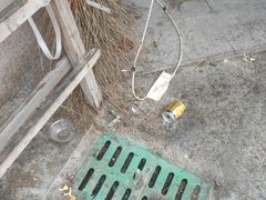 -二红烧烤排骨串(麦岛店)