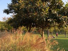 -汉长安城未央宫国家考古遗址公园