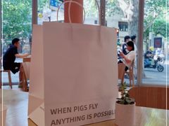 -WHEN PIGS FLY当猪飞
