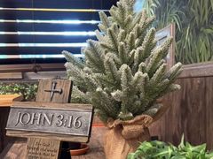 -John 3:16 Malaysian Delights