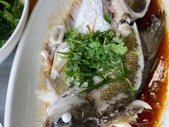 -八仔大富楼·河鲜(西江店)