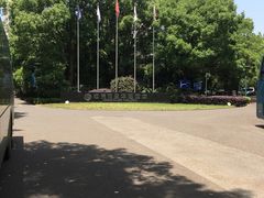 -七彩阳光游泳俱乐部(江北远洲店)