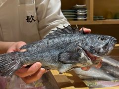 -镹·鱼料理  国产鱼使用店