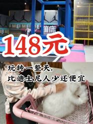 -萌兔星空蹦床撸兔馆