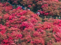 -木兰云雾山