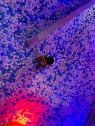 -幻贝家儿童乐园(苏州中心店)