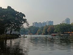 -荔湾湖公园