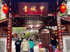 -青城甲(青城山店)