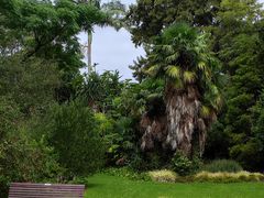 -墨尔本皇家植物园