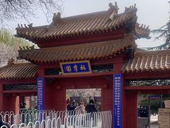 -桃花堤公园