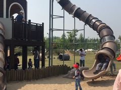 -上海长兴岛郊野公园