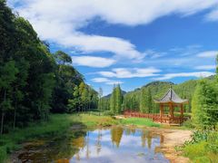 -广州市石门国家森林公园