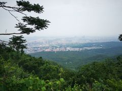 -紫金山索道-售票处