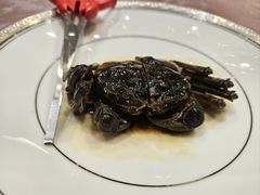 -新光酒家·河豚·海鲜·蟹料理(浦东店)