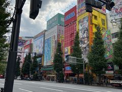 -秋叶原电器街