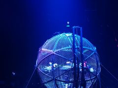 -广州长隆国际大马戏