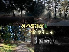 -杭州植物园