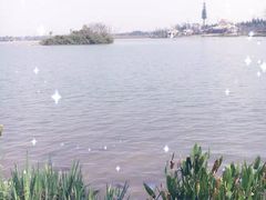 -海珠湖公园