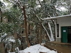 -马王堆汉墓遗址