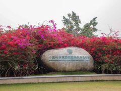 -中国科学院西双版纳热带植物园
