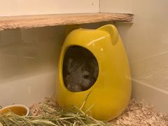 -龙猫仔乐园(惠福东路店)