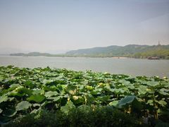 -湖畔居茶楼(湖滨店)