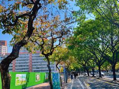 -佛山市图书馆(祖庙路分馆)