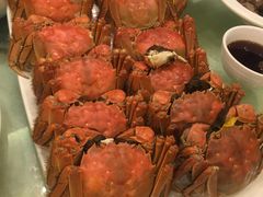 -龙景轩大酒店(宝杨路店)