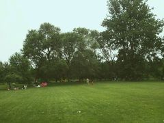 android_upload_pic-御林古桑园