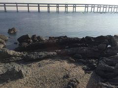 -黑石礁公园