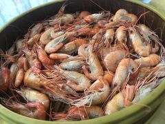 蒸河虾-西江河鲜·趣苑酒楼(鼎湖店)