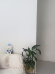 -苗方清颜专业祛痘·皮肤管理