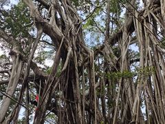 -烟桥古村