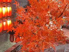 -火社火锅(平安大街店)