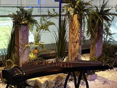 -乐海堂·影院式水疗会所(集美新城店)