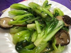 -林之六八·6886大连老菜馆