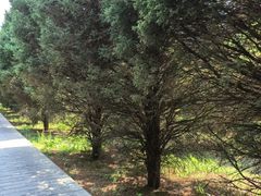 -秦始皇帝陵博物院-丽山园