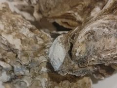 -长沙三景韦尔斯利酒店·Oval全日制餐厅自助餐