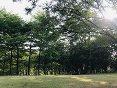 -东莞植物园