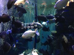 -成都浩海立方海洋公园