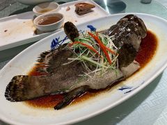 清蒸老虎斑-上下九广州菜馆(锦业路店)
